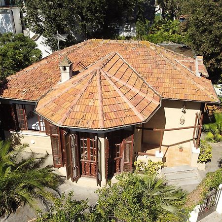 Exclusive Charming Villa - Free Parking 400 Mq Garden - Rome Airport - Roseto Villa Dream 弗雷杰内 外观 照片
