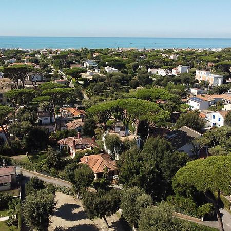 Exclusive Charming Villa - Free Parking 400 Mq Garden - Rome Airport - Roseto Villa Dream 弗雷杰内 外观 照片