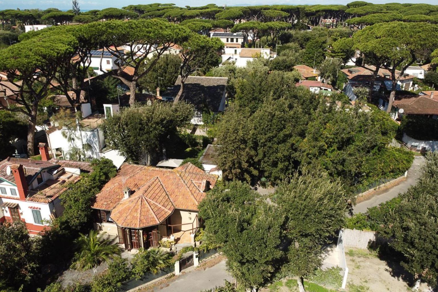 Exclusive Charming Villa - Free Parking 400 Mq Garden - Rome Airport - Roseto Villa Dream 弗雷杰内 外观 照片